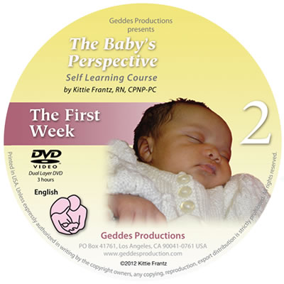 Baby's Perspective - Module 2